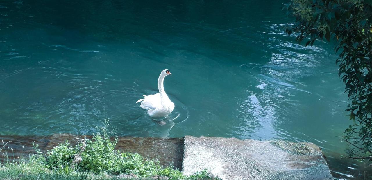 Ampio Appartamento Vicino Al Centro Di Treviso, Parcheggio Gratuito 外观 照片