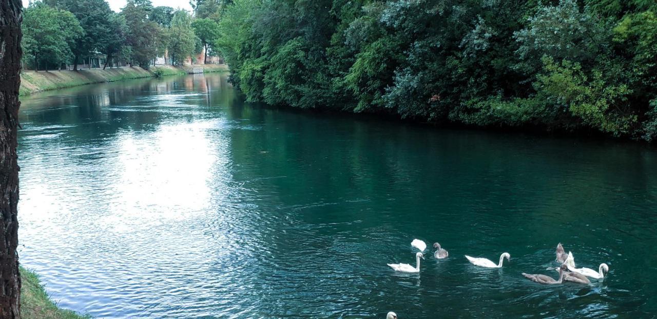 Ampio Appartamento Vicino Al Centro Di Treviso, Parcheggio Gratuito 外观 照片